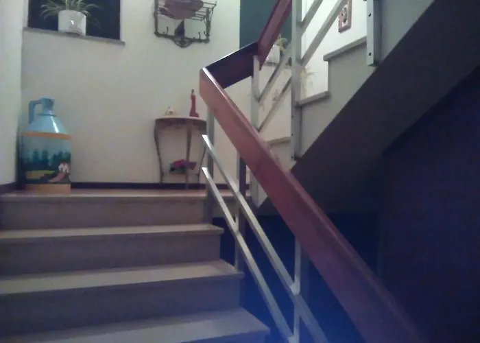 Nunes Pinto Maison d'hôtes Termas de São Pedro do Sul